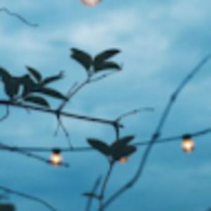 Meet your Posher, Janell